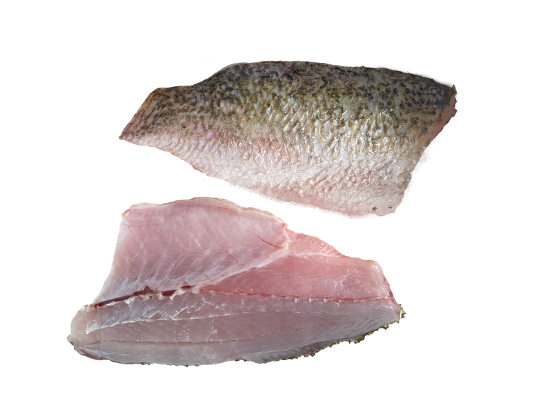 ปลากะพงสดแล่ฟิลเล่