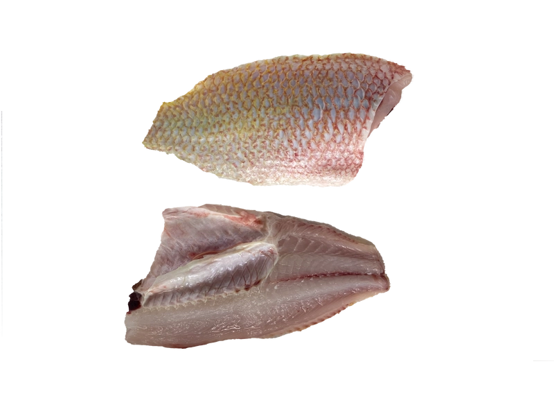 ปลาทับทิมสดแล่ฟิลเล่