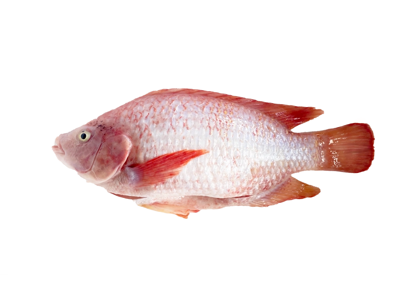 ปลาทับทิมสดขอดเกล็ดควักไส้